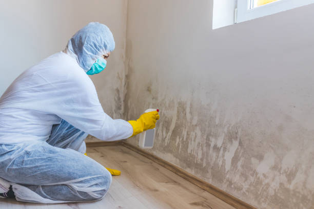 Crawl Space Mold Remediation treatment of floor joists in Clayton