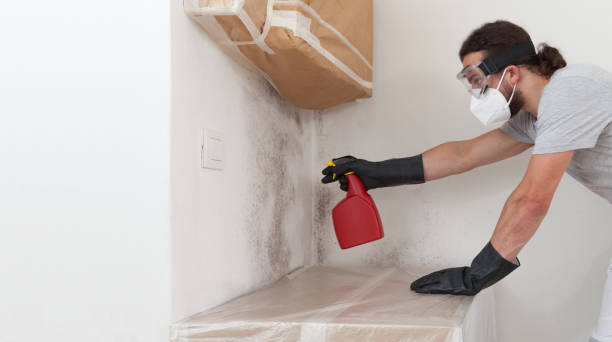 Attic Mold Remediation treatment on roof deck in Clayton